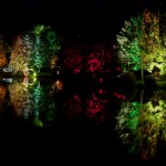 _DSC3754