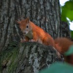 _DSC8580